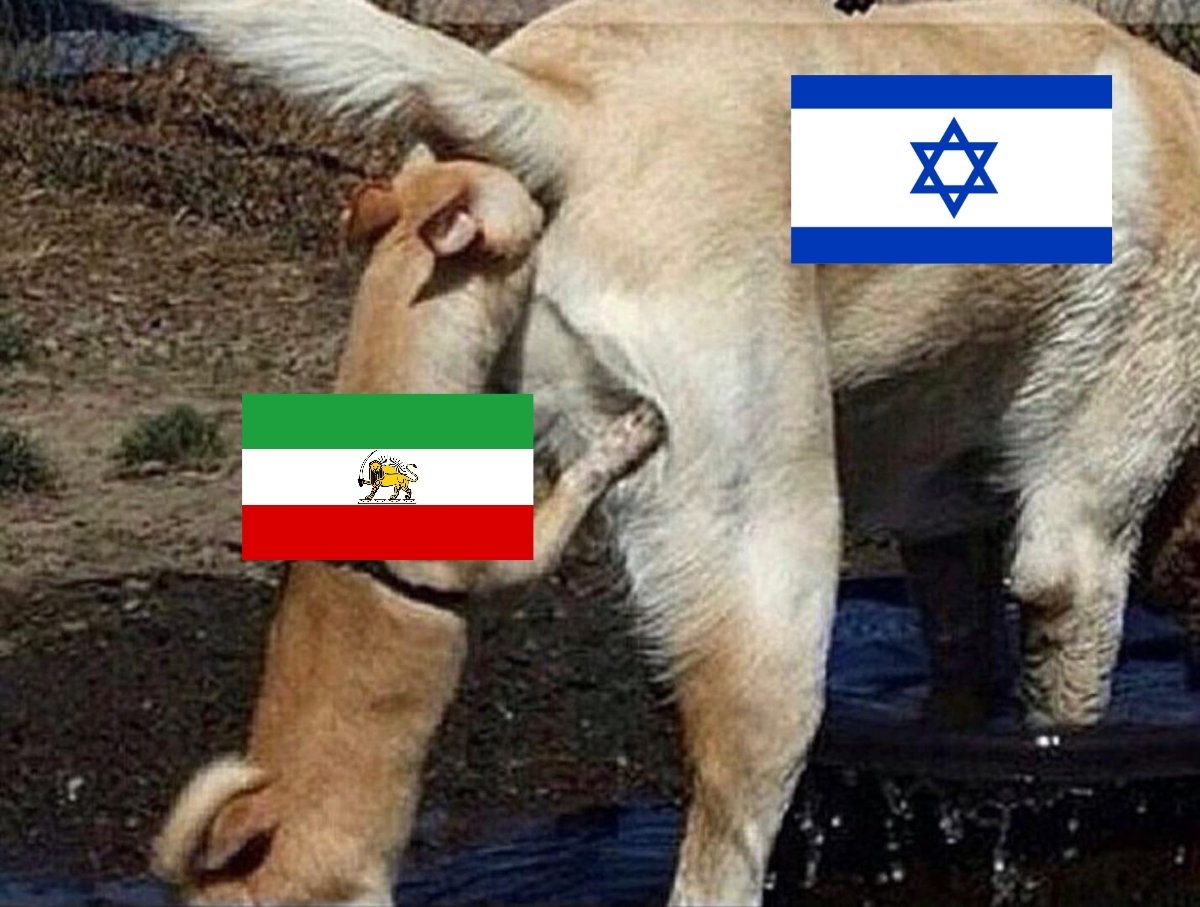 Whiteswanap1's tweet photo. وضعیت فارسی‌زبانان حامی اسقاطیل https://t.co/Zm82f1b8cB