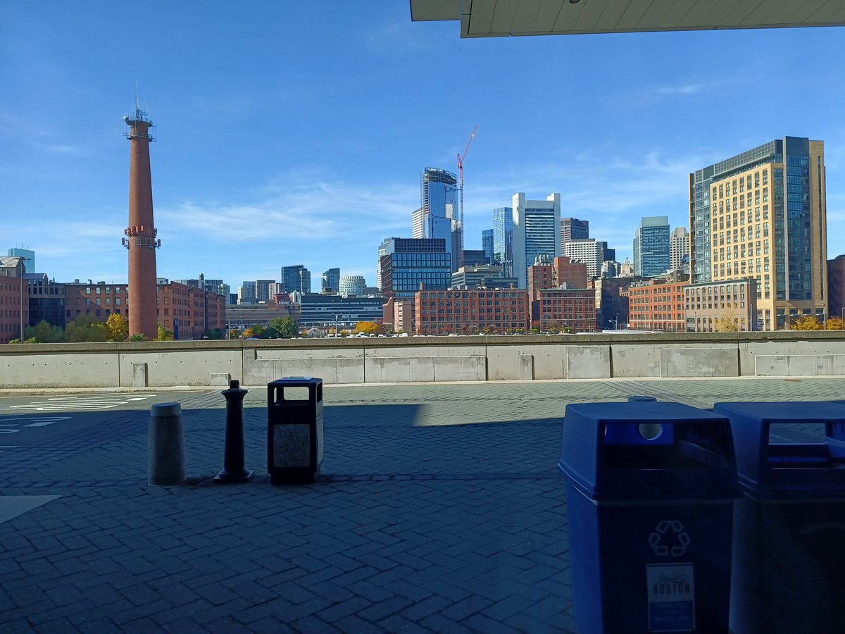 Sarah Boyd tweet media