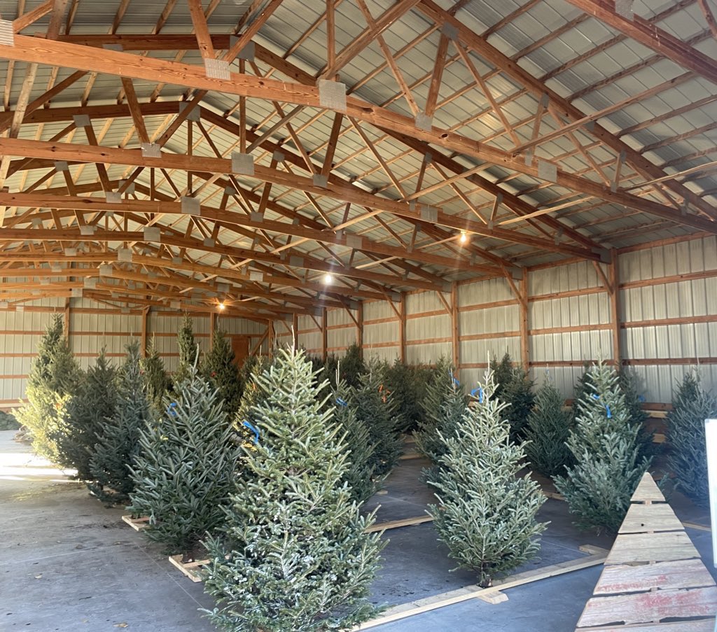 4EvergreenTree's tweet image. 🌲We’ll be opening this year the day after Thanksgiving. November 29, 2024. We look forward to helping you find your Christmas tree again this year. 🌲