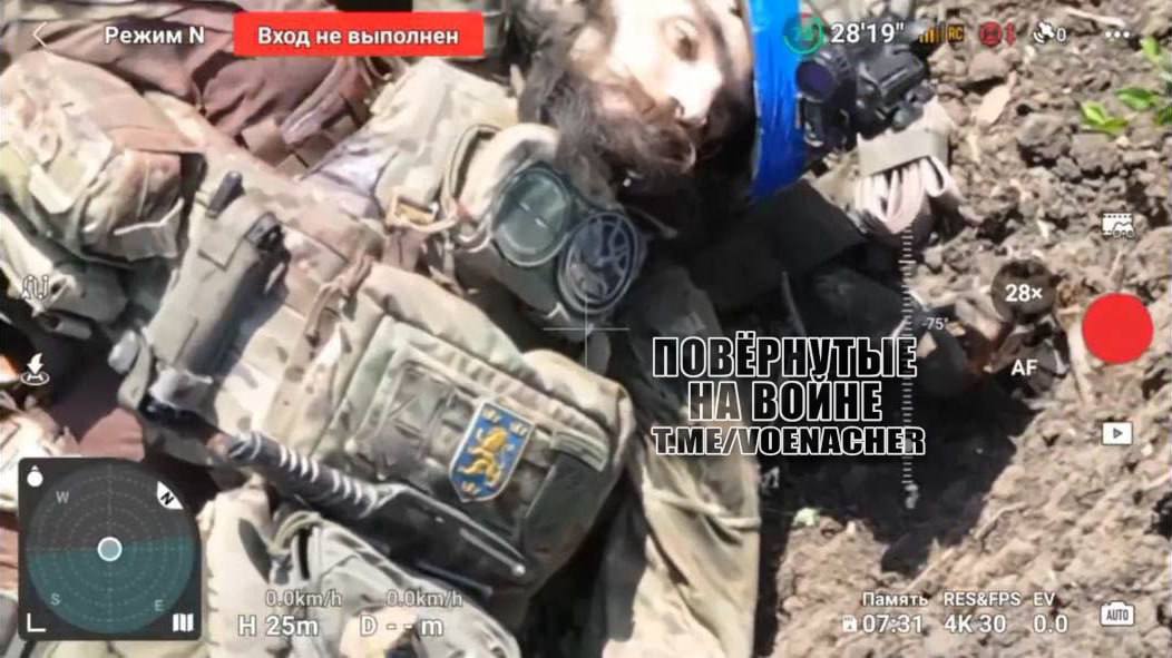 пан ёбаный хохол с патчем дивизии СС Галичина, лежит немного не живой в направлении населенного пункта Терны. 

Данный мёртвый гомогей принадлежал к фпв группе «дикие шершни». 

Загномили его ребята из 144 гвардейской мотострелковой дивизии