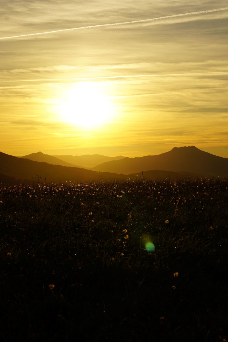 MayaPont's tweet image. L'automne dans toute la splendeur de ses couleurs !