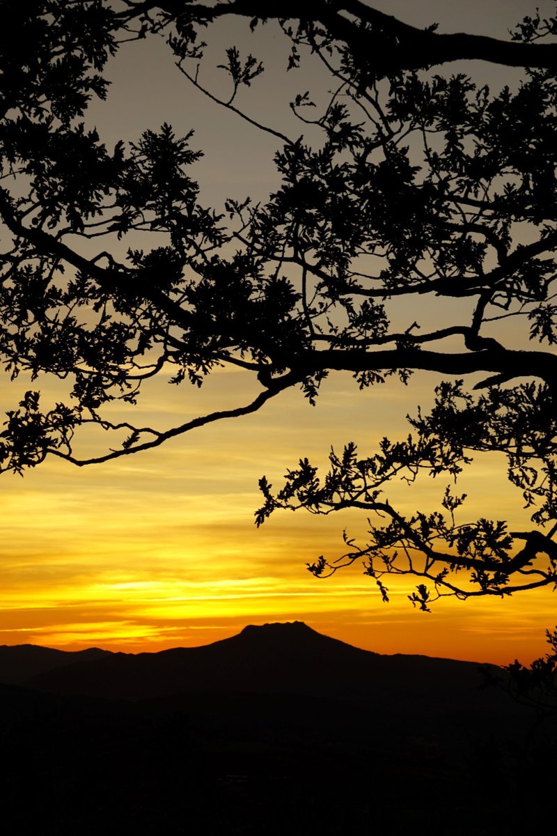 MayaPont's tweet image. L'automne dans toute la splendeur de ses couleurs !