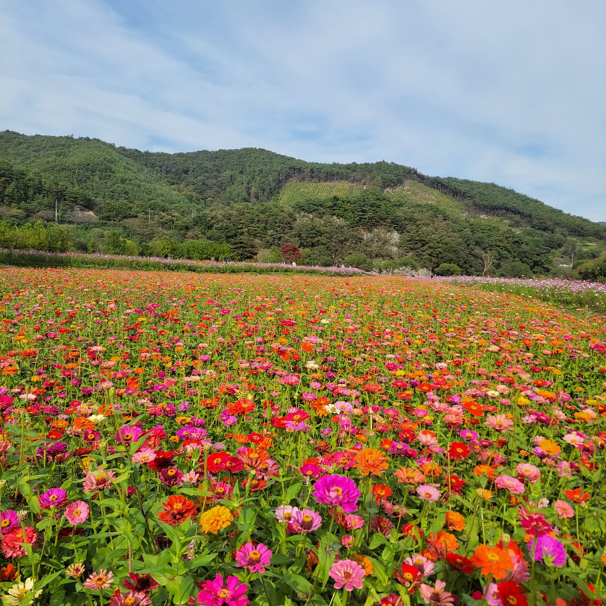 새벽부터 tweet media