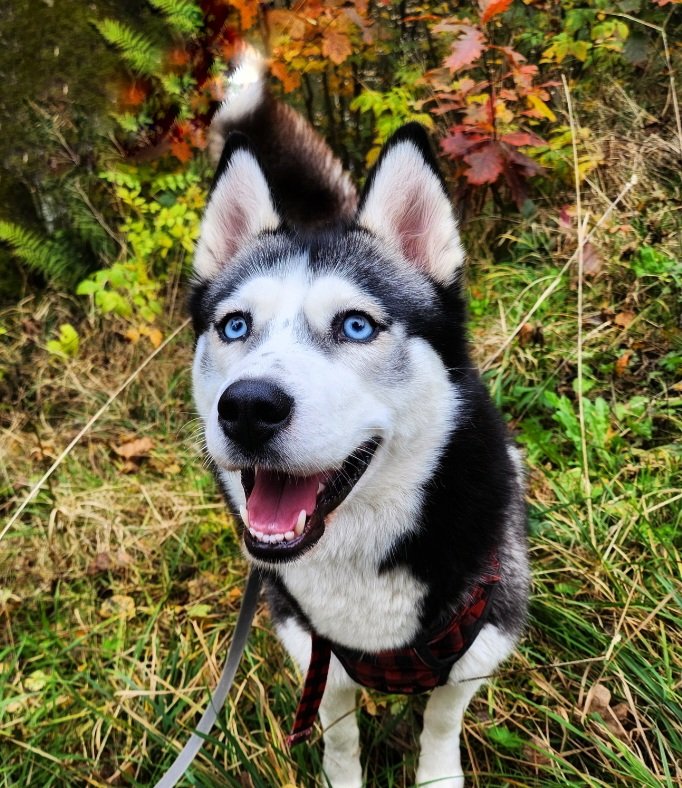 Alina (@unszchtbare) on Twitter photo 