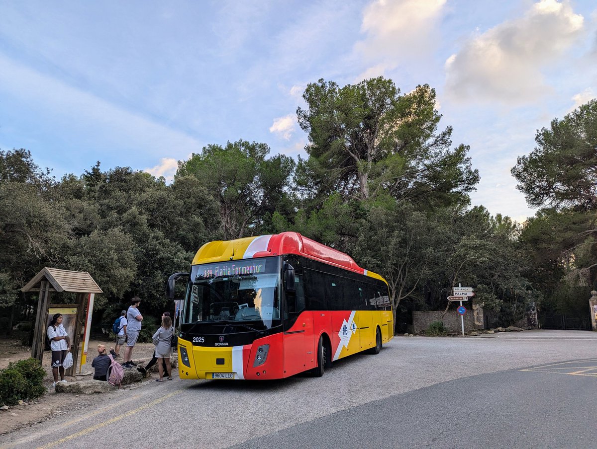 Thomas 🇪🇺🚏🚌 tweet media