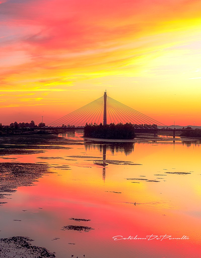 EstebanDePeralta Photography tweet media