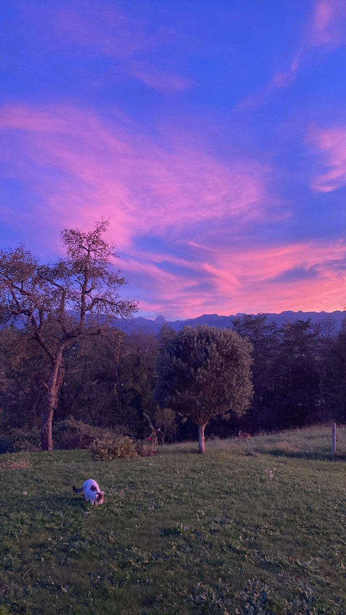 SebSalvador's tweet photo. @SO_Pau @Meteo_Pyrenees https://t.co/Cv3XRPFuc9