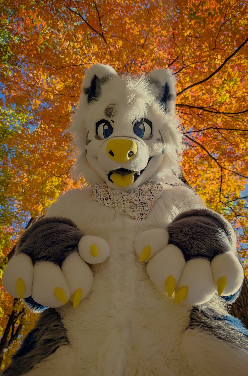 ur order of one (1) pretty puppy has arrived
📸:<a href="/Tiger_Bunni/">Jasper / Minnow</a>