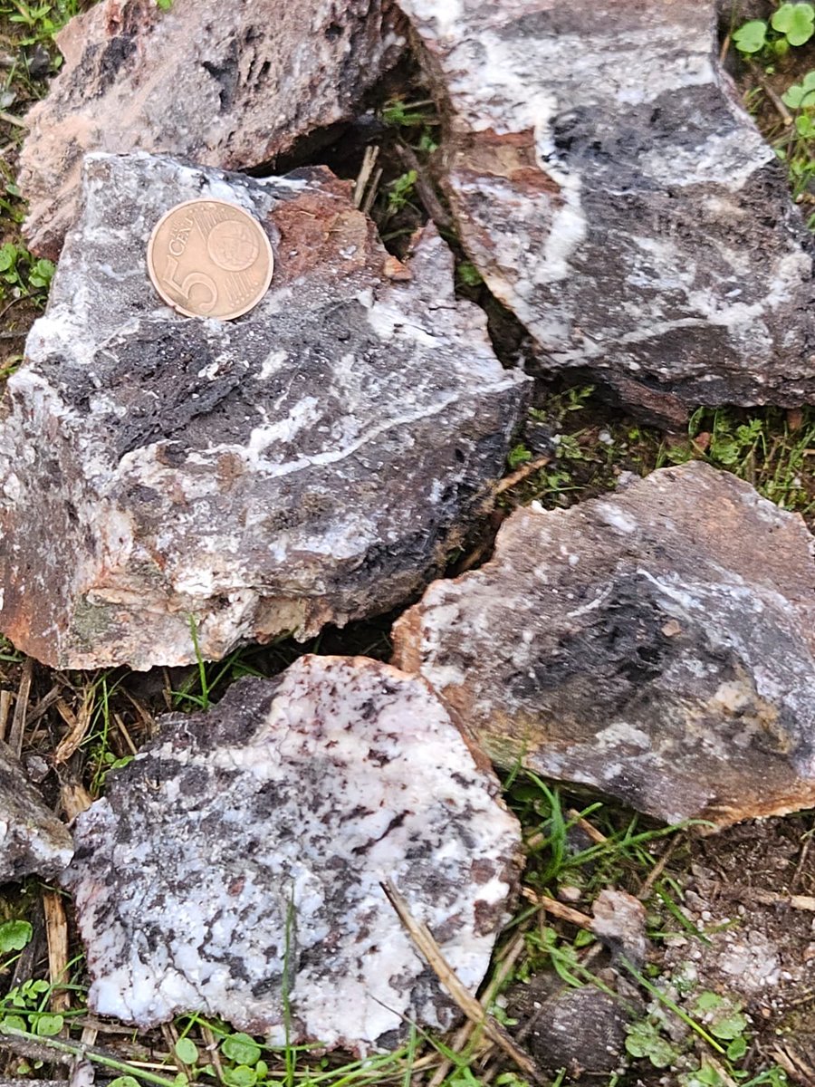 A couple samples with big oxidized crystals of stibnite (which is the mineral containing #antimony !) found at the Siberia project, which despite the odd name is located in Spain!