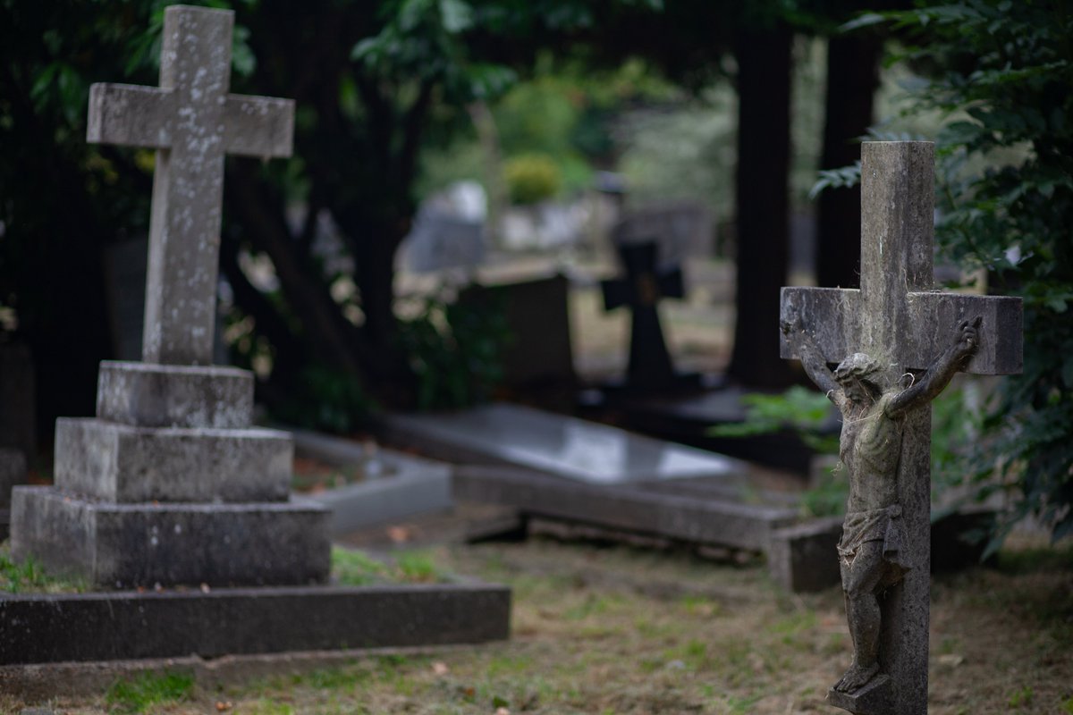 We're working with <a href="/EalingCouncil/">Ealing Council</a> to make South Ealing Cemetery a greener, more pleasant and welcoming space. Pop down to our community event this week to find out more: 1pm, Tuesday 22nd October at Clayponds Community Centre. Hope to see you there!

#Ealing #Brentford #Hounslow