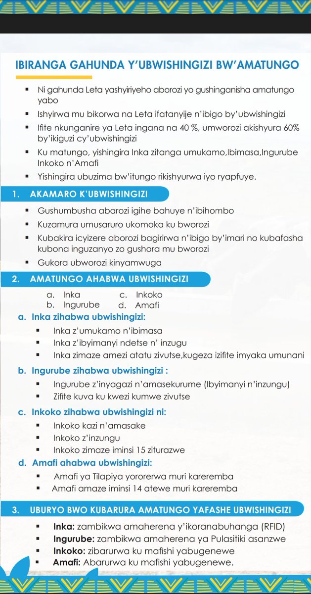 P_Karangwa's tweet photo. Dukangurire aborozi kwitabira gahunda y'ubwishingizi bw'amatungo. Harimo kunganire ya Leta.

Kuragira ku gasozi byongera ibyago (risk) muri byinshi. Amatungo niyororerwe mu biraro.

Umuryango wagize ibyago ntibyoroshye biraremereye, wihanganishwe!

https://t.co/tN9lX5udpy https://t.co/zrY5siQXwK