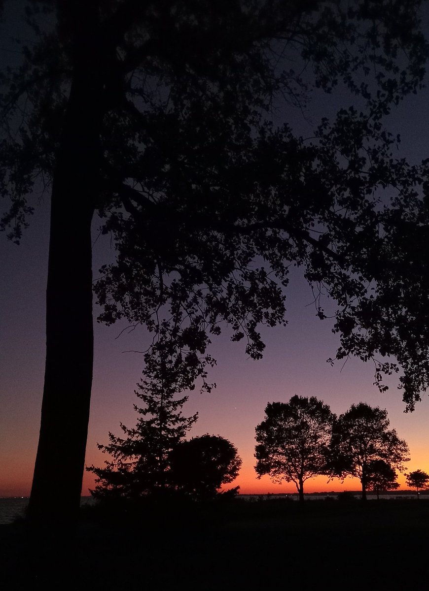 #『1番星』　#宵の明星 宵の明星・金星が「最大光度」に。ひときわ美しい姿を堪能しましょう