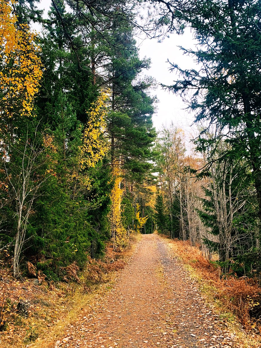 Med berått mod vandrar jag rakt in i hösten.