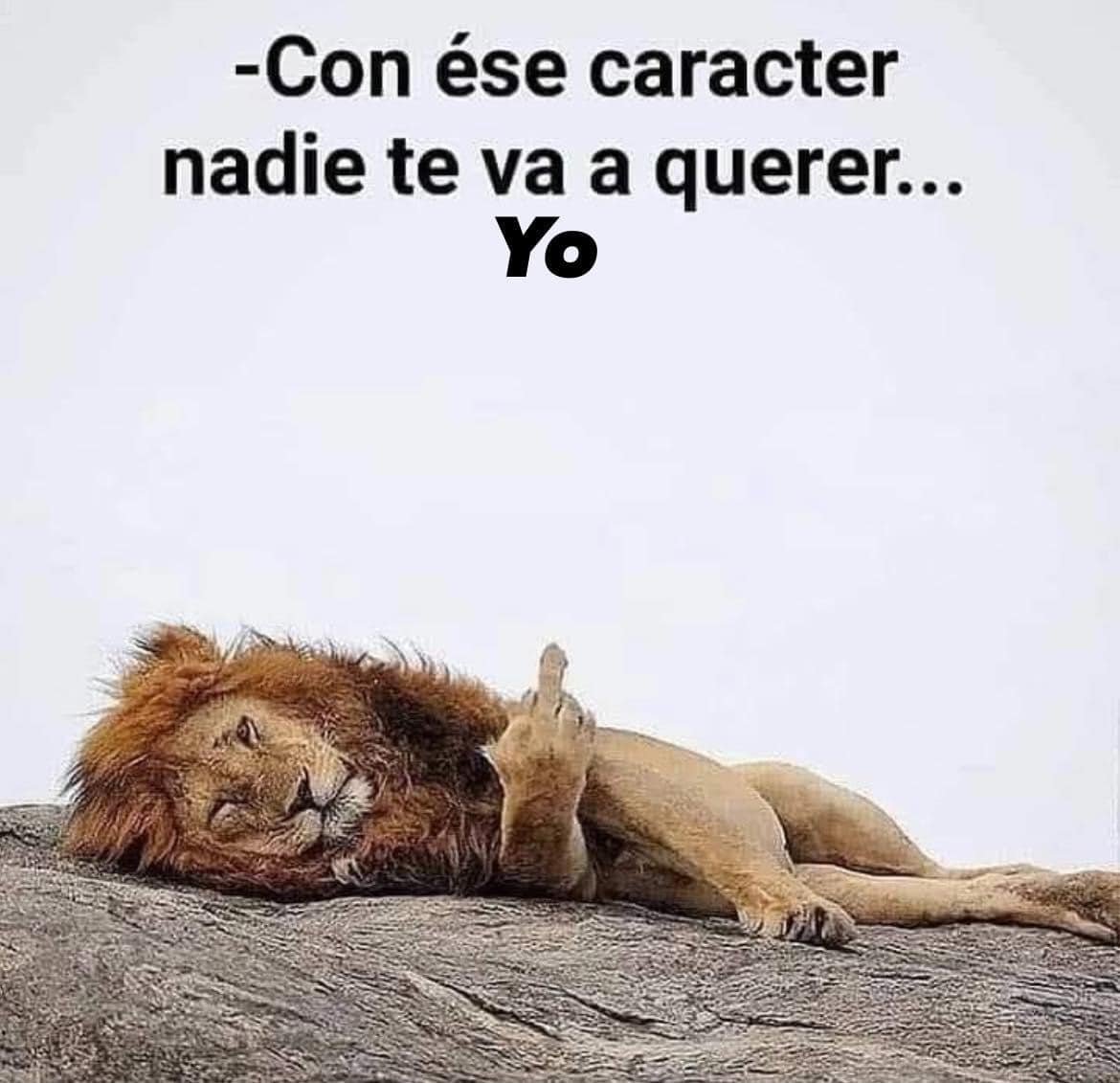 BANDIDOS (@bandidosfrasess) on Twitter photo 