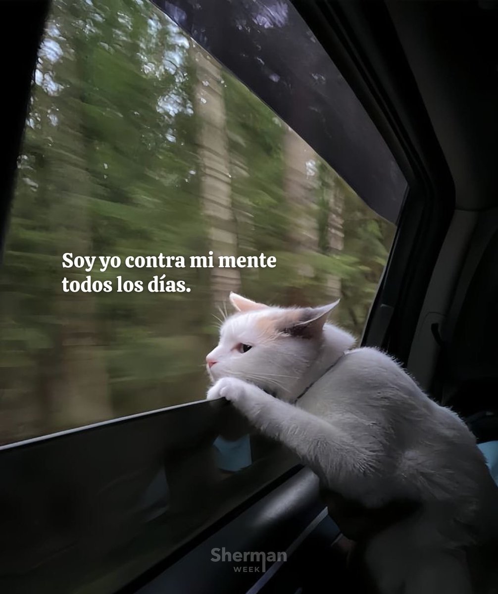 BANDIDOS tweet media