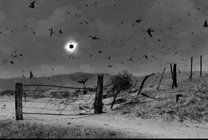 Solar Eclipse. Chiapas, Mexico. 1991.
by Antonio Turok