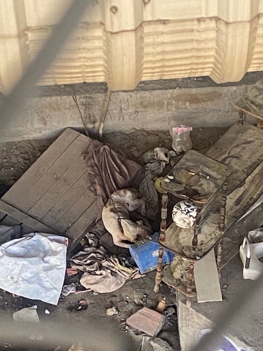 ERIFERCA's tweet photo. Por favor 🙏 Urgente 🚨 buenos días, me ayudan a compartir a este perrito que tiene una persona en situación de calle que vive debajo del puente de la estación del tren suburbano lechería, ya tenemos folio de @propaem_sma  #3360 Igual dejo el número de la reportante 5527494919 https://t.co/nXz9aoMzEN