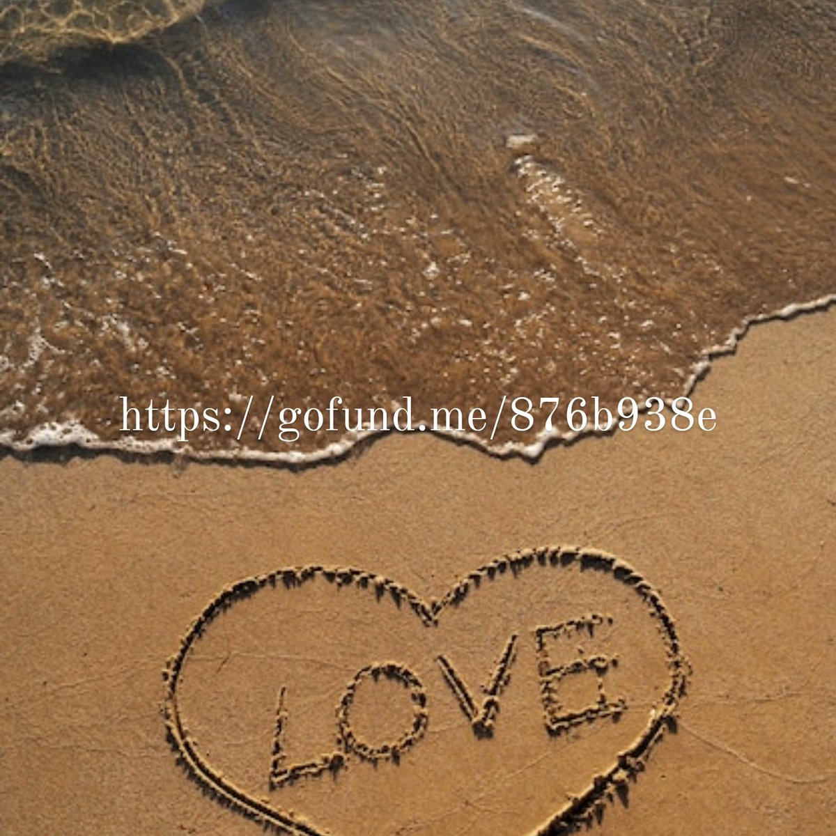 Soulmates... They do exist 

gofundme.com/f/zusammenfuhr…