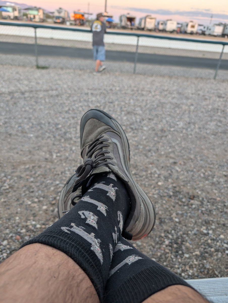 Steve42070's tweet photo. @RightLillias I've got a 2 week supply of cat socks 😹😹 https://t.co/EkBLtUhHUA