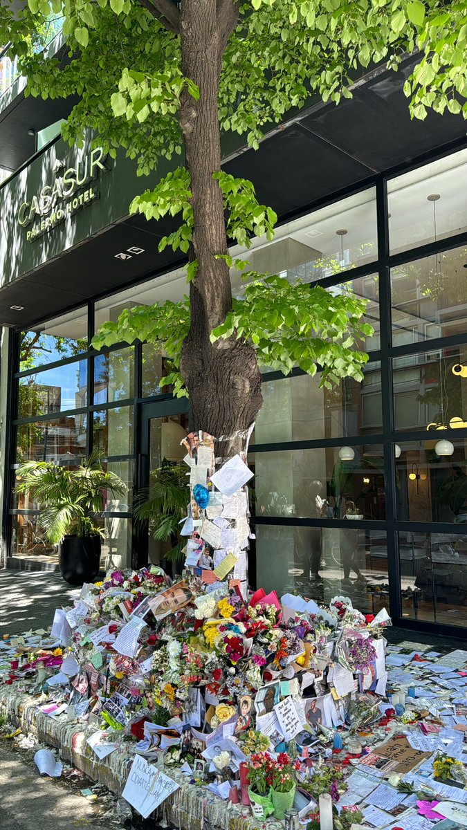 monirechy's tweet image. 🕊️❤️‍🩹 #LiamPayne #OneDirection #DirectionerForever