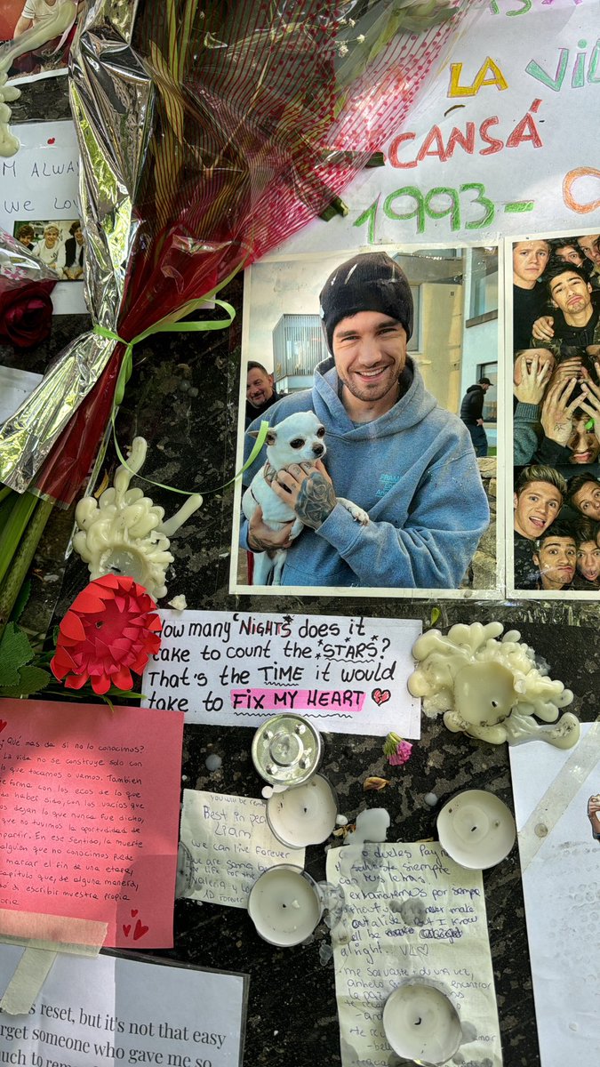 monirechy's tweet image. 🕊️❤️‍🩹 #LiamPayne #OneDirection #DirectionerForever