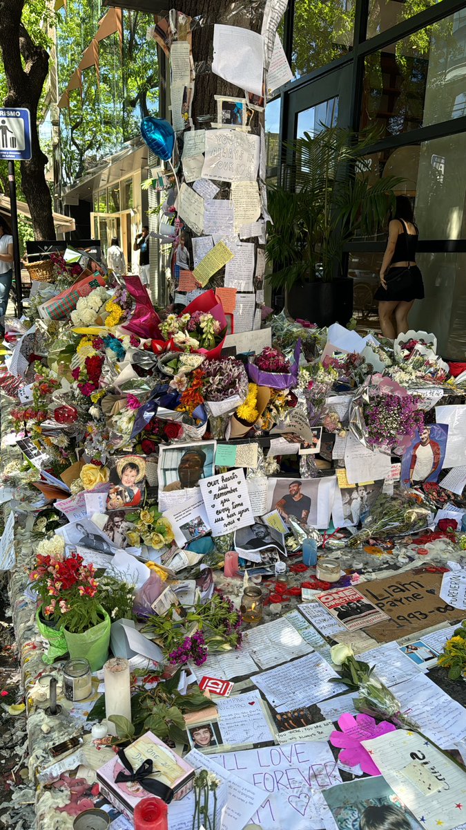 monirechy's tweet image. 🕊️❤️‍🩹 #LiamPayne #OneDirection #DirectionerForever