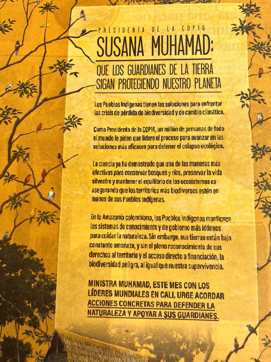 ESAvaaz's tweet image. ¡Buenos días, ministra @SusanaMuhamad! ☕️ Esperamos que esté disfrutando de su café dominical mientras lee @ElEspectador. Le pedimos que reciba nuestros mensaje: No hay mejor momento para hablar de cómo preservar el planeta, de la mano de los Pueblos Indígenas en la