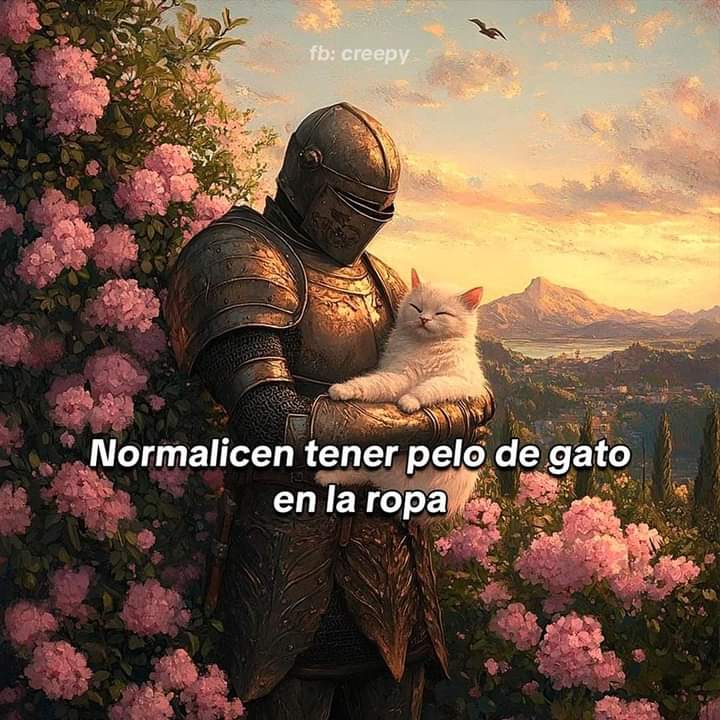 Estef_V's tweet image. 