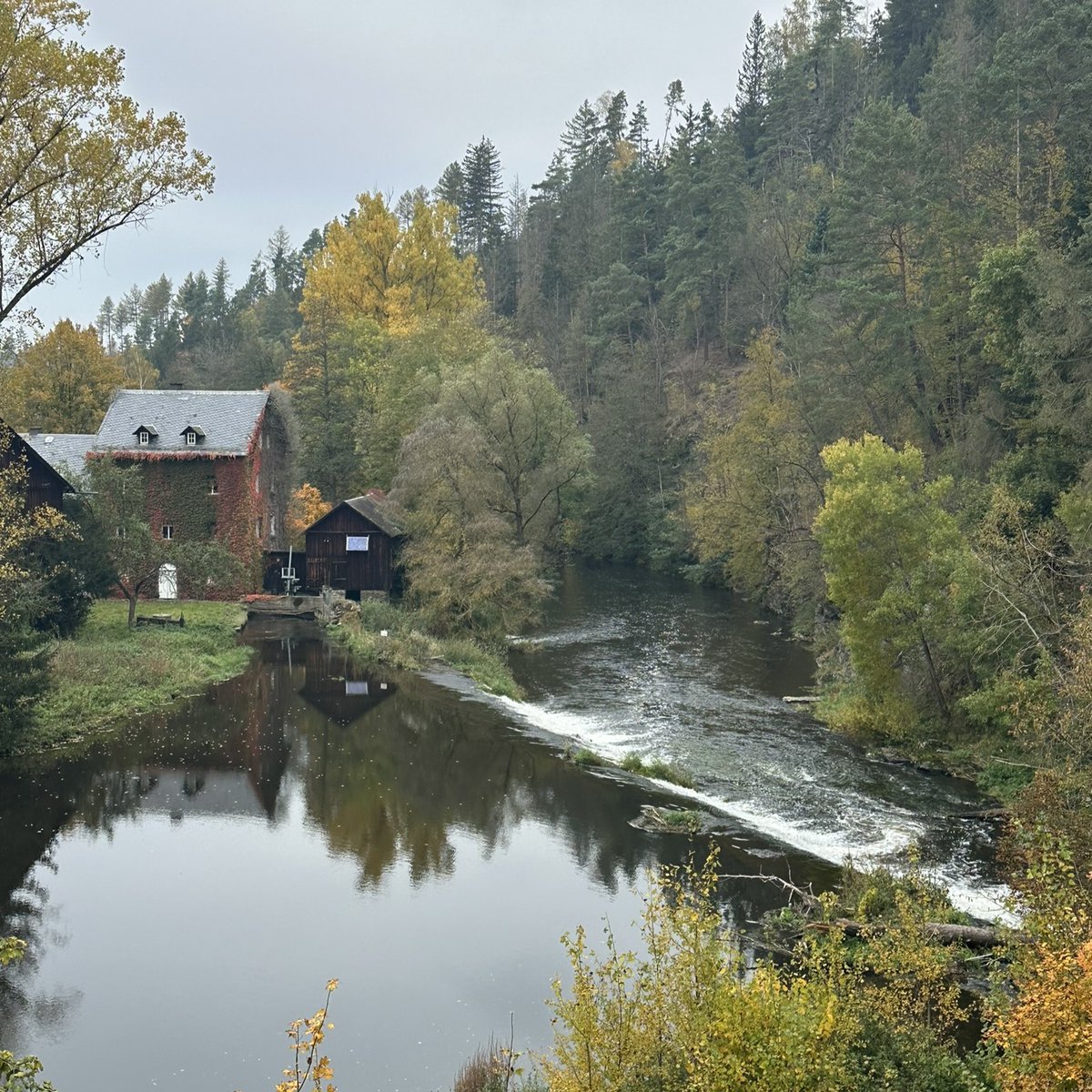 Michael Bitzinger tweet media