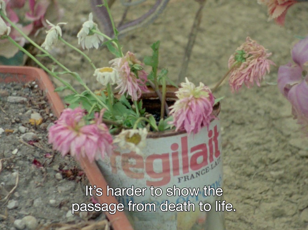 flowersincinema's tweet photo. Vakantie van de filmer [Filmmaker’s Holiday] (Johan van der Keuken, 1974) @Sabzianbe https://t.co/tPzV20Nb05