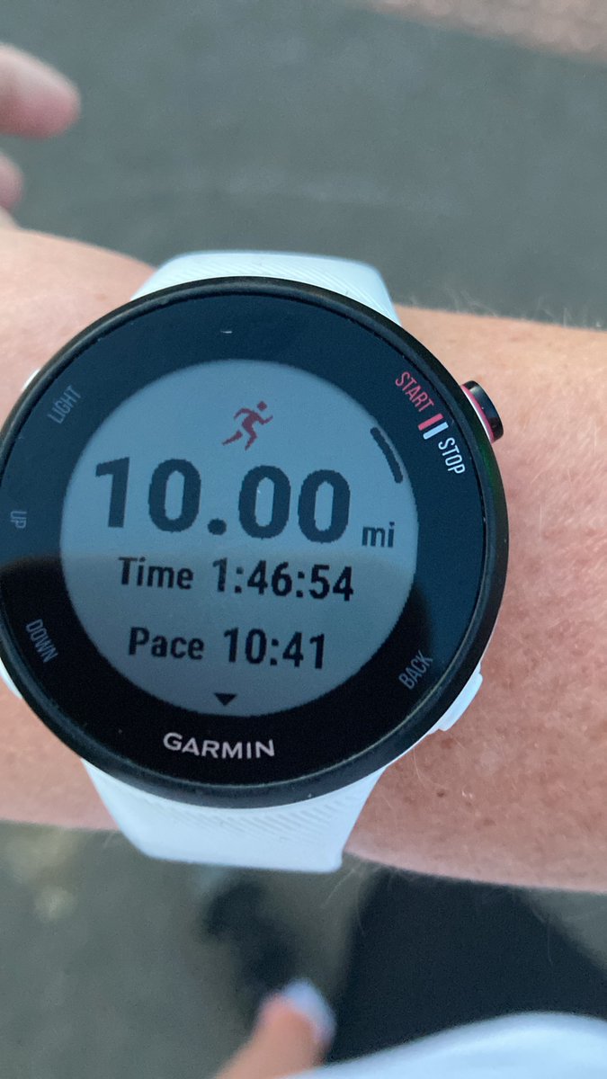 Stepping Stones DS tweet media