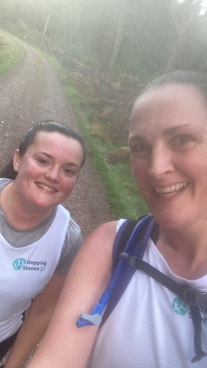 Stepping Stones DS tweet media