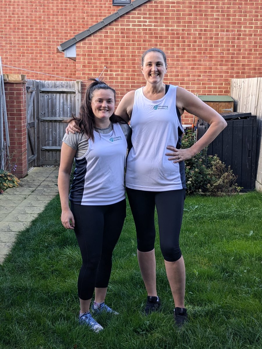 Stepping Stones DS tweet media