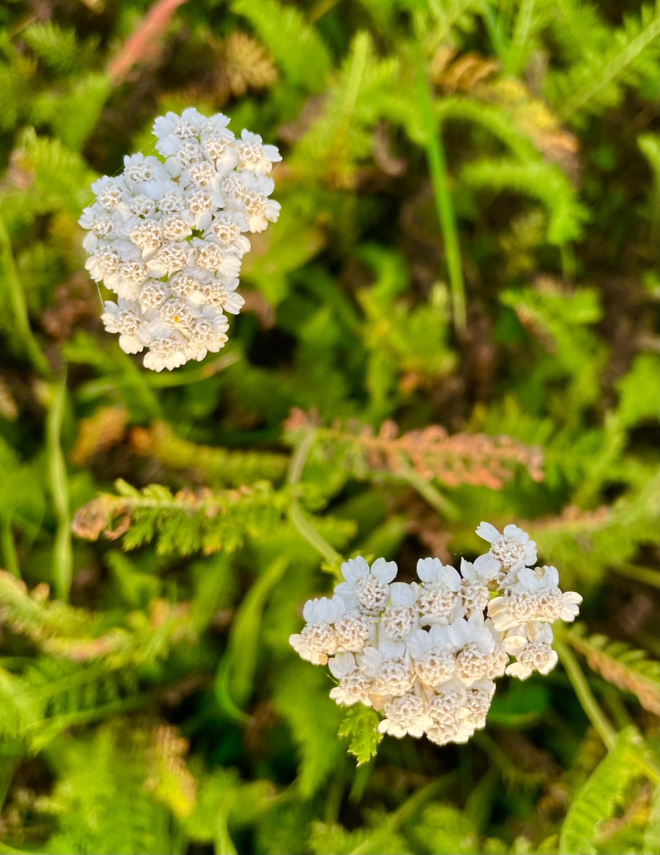 Herbst - schon sehr fein 🍁🤩
#naturliebe #herbst