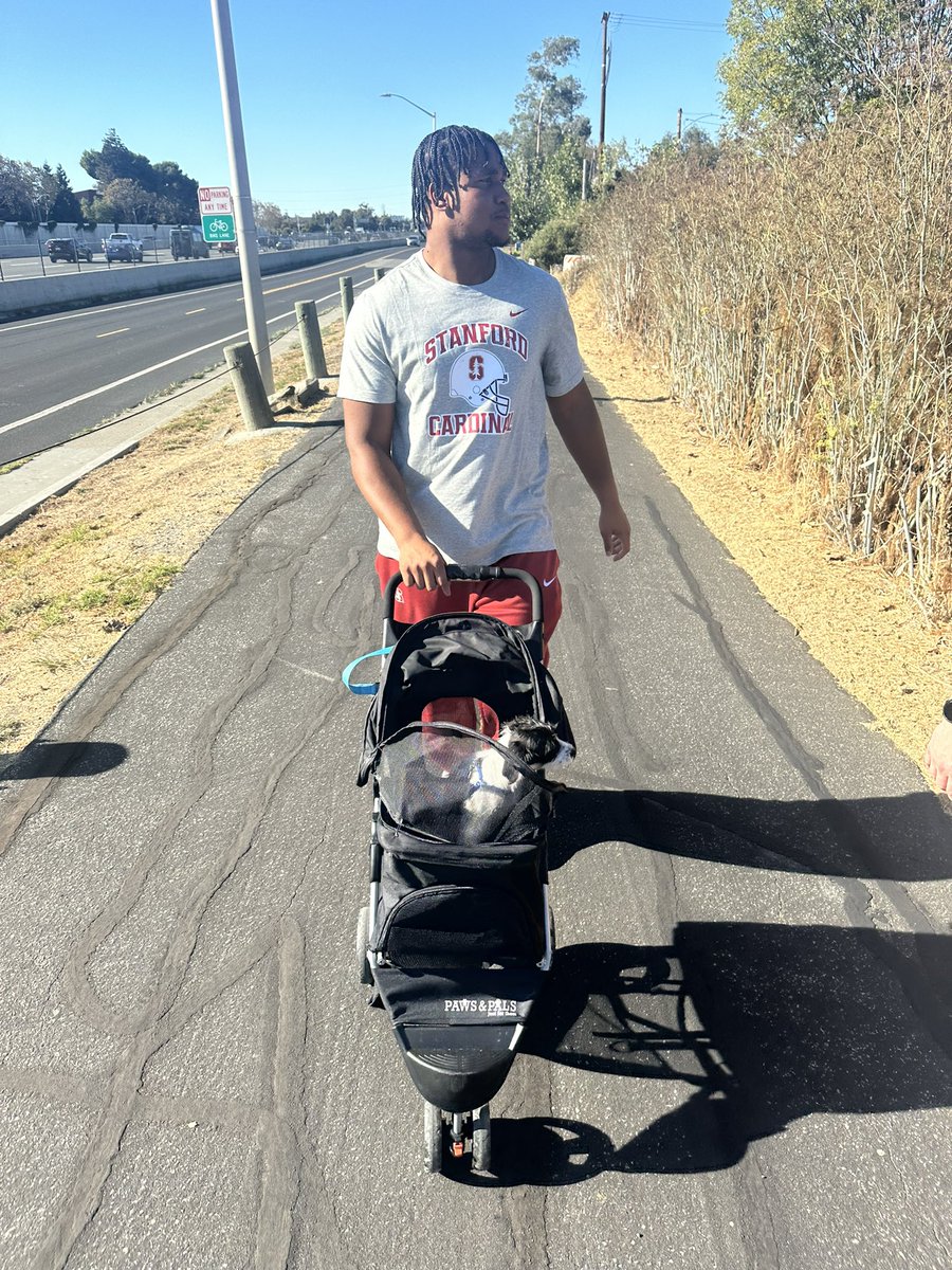 Had an amazing time with <a href="/petsinneed1965/">Pets In Need</a> while walking bella! If you are looking to adopt her visit <a href="/petsinneed1965/">Pets In Need</a>🌲 @lifetimecardinal