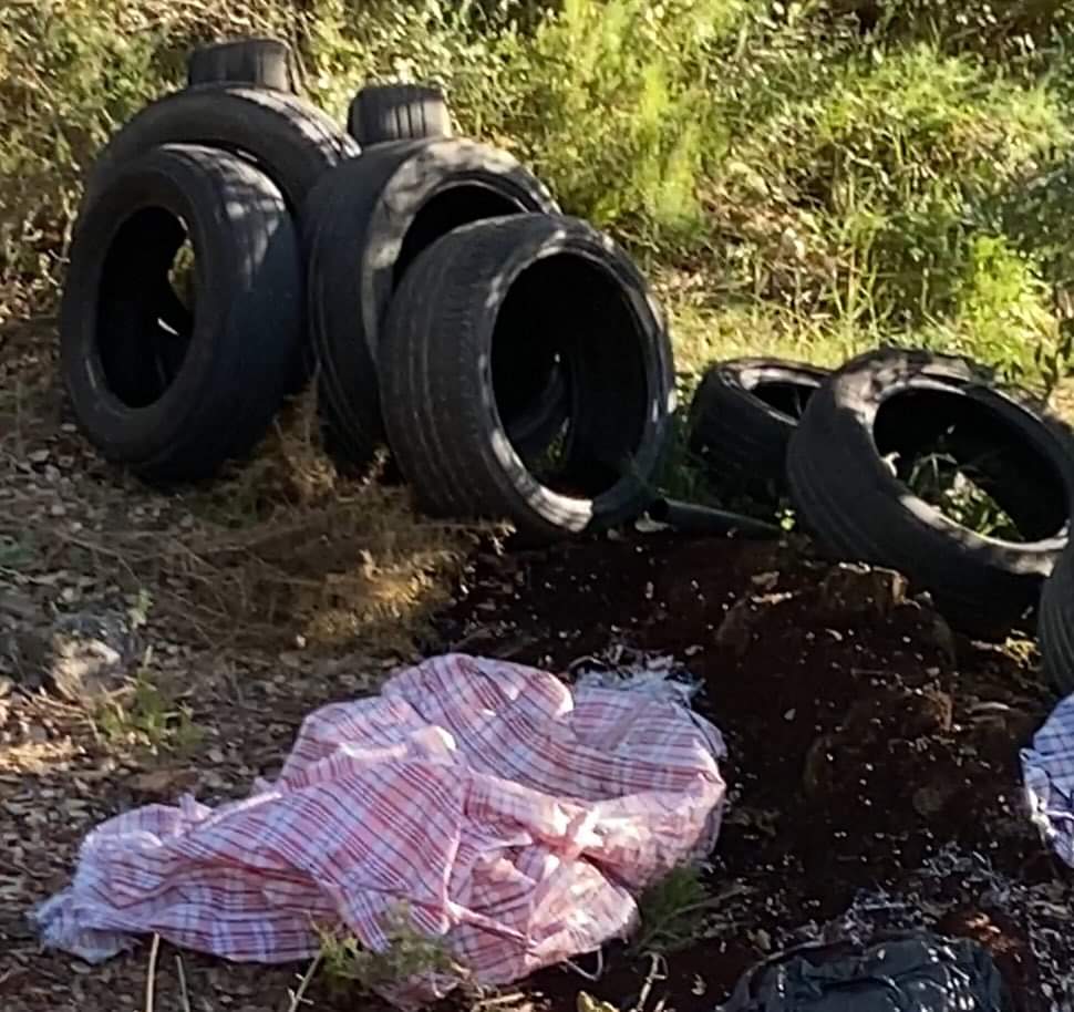 Brigada del Salabret tweet media