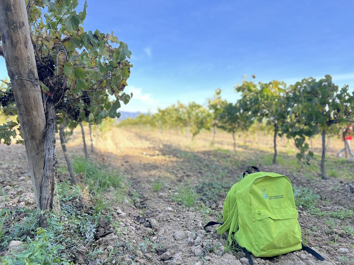 masiperera's tweet photo. 💚Matí d’esport, salut i comunitat educativa! Donem la benvinguda a les motxilles EPSAP! 🎒
I tu, quina ruta faràs? Nosaltres, avui, hem fet la de Vilafranca-Els Pujols!
#epsap #femsalut #famílies https://t.co/KZ6B0nQ2W4