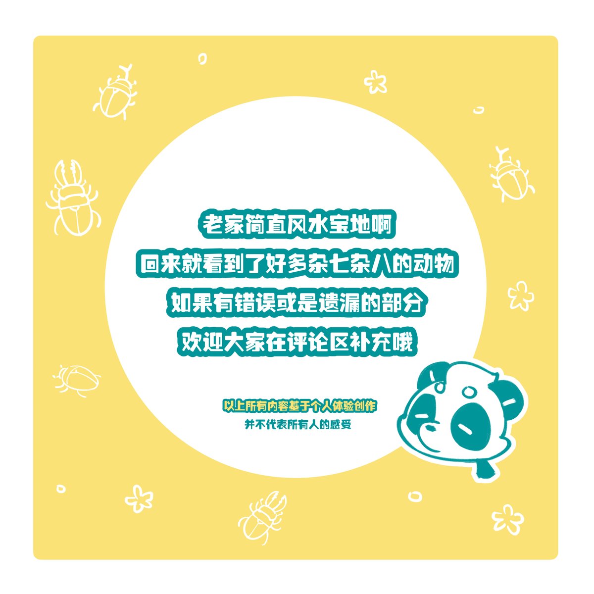 shanyunjun's tweet photo. 【自在山云】老家的鸟
老家真有意思,每天出门总会有不同的惊喜QVQ
太爽惹
如果有遗漏或是想补充的~也欢迎大家在评论区补充哦~~
#shanyunjun #自在山云 #panda #shichuan #birdwings #cute #日常生活 #野外 #BioWatch #birdlovers #linnet https://t.co/UVj2AZu3oM