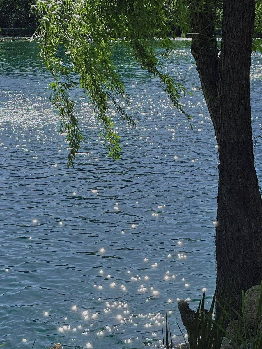 artindetails's tweet photo. — shining waters https://t.co/PjnQ0RM1Mf
