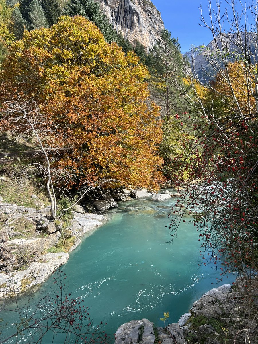 Para ver el otoño, el Valle de Bujaruelo está en su prime.