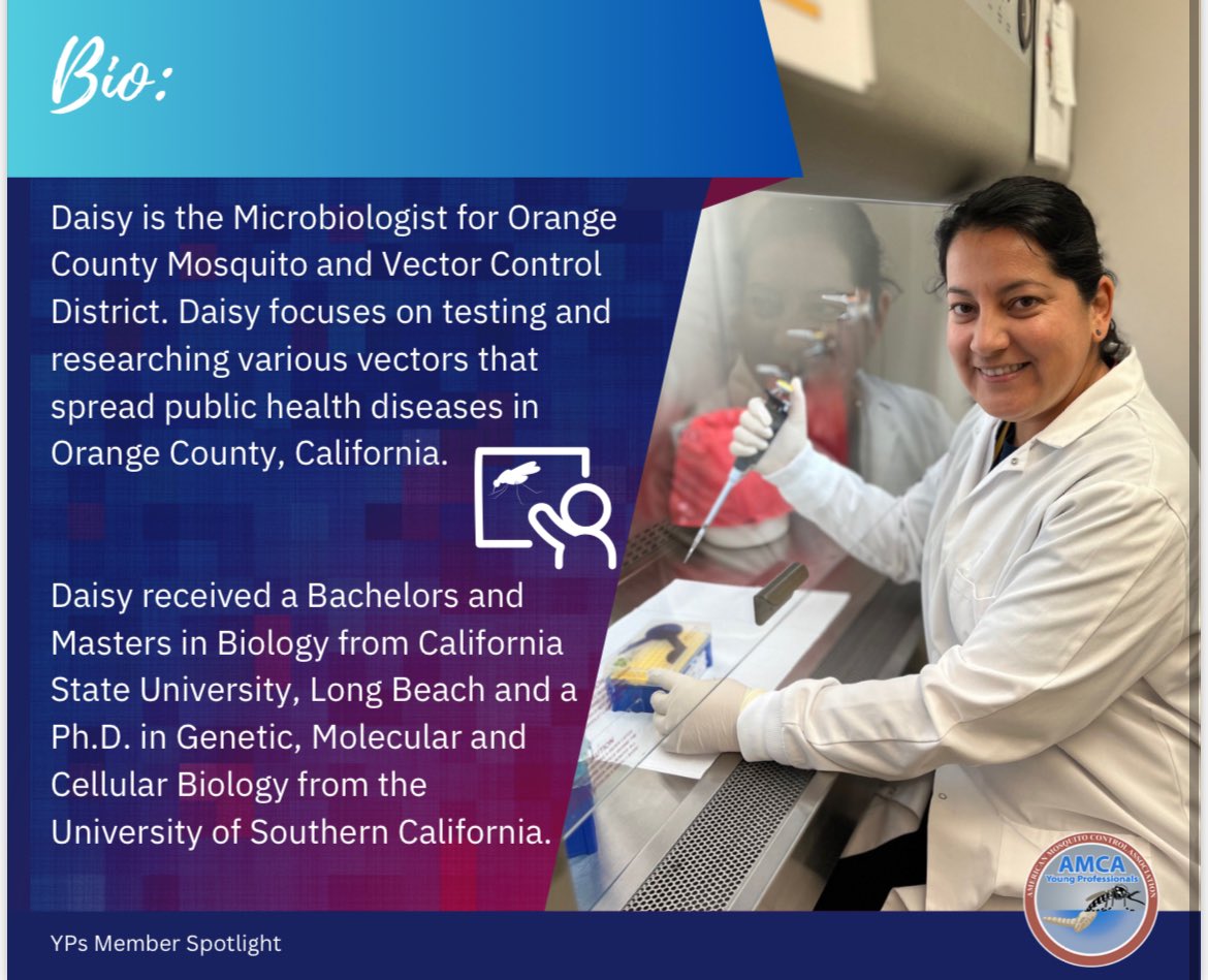 AMCAYPs's tweet image. 📣‼️This month’s @AMCAmosquito YPs spotlight is on Daisy Flores Rangel! Daisy is a microbiologist for @OCVector 🦟in California. Read on to find a valuable piece of advice for those starting a career in #vectorcontrol! 🦟🪰