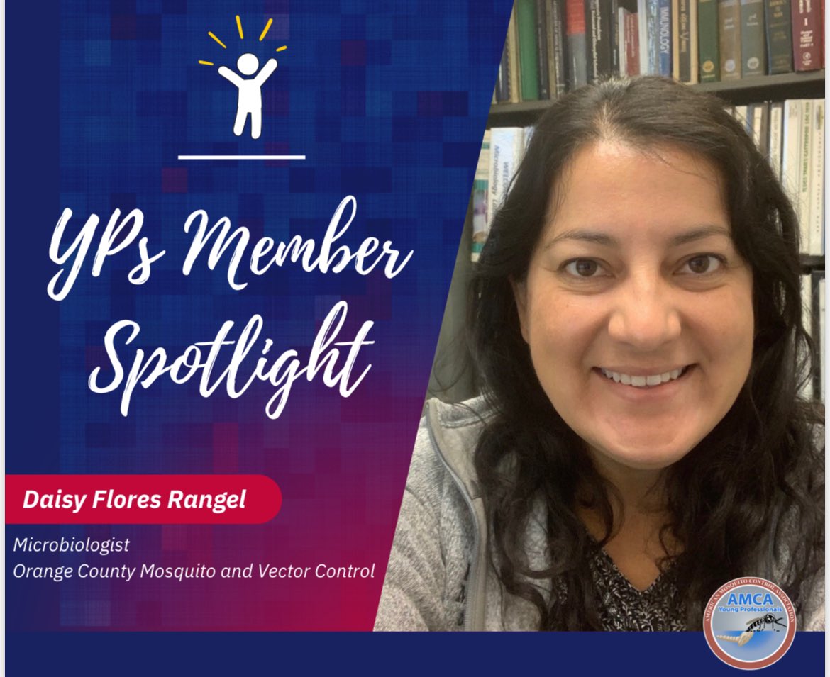 AMCAYPs's tweet image. 📣‼️This month’s @AMCAmosquito YPs spotlight is on Daisy Flores Rangel! Daisy is a microbiologist for @OCVector 🦟in California. Read on to find a valuable piece of advice for those starting a career in #vectorcontrol! 🦟🪰