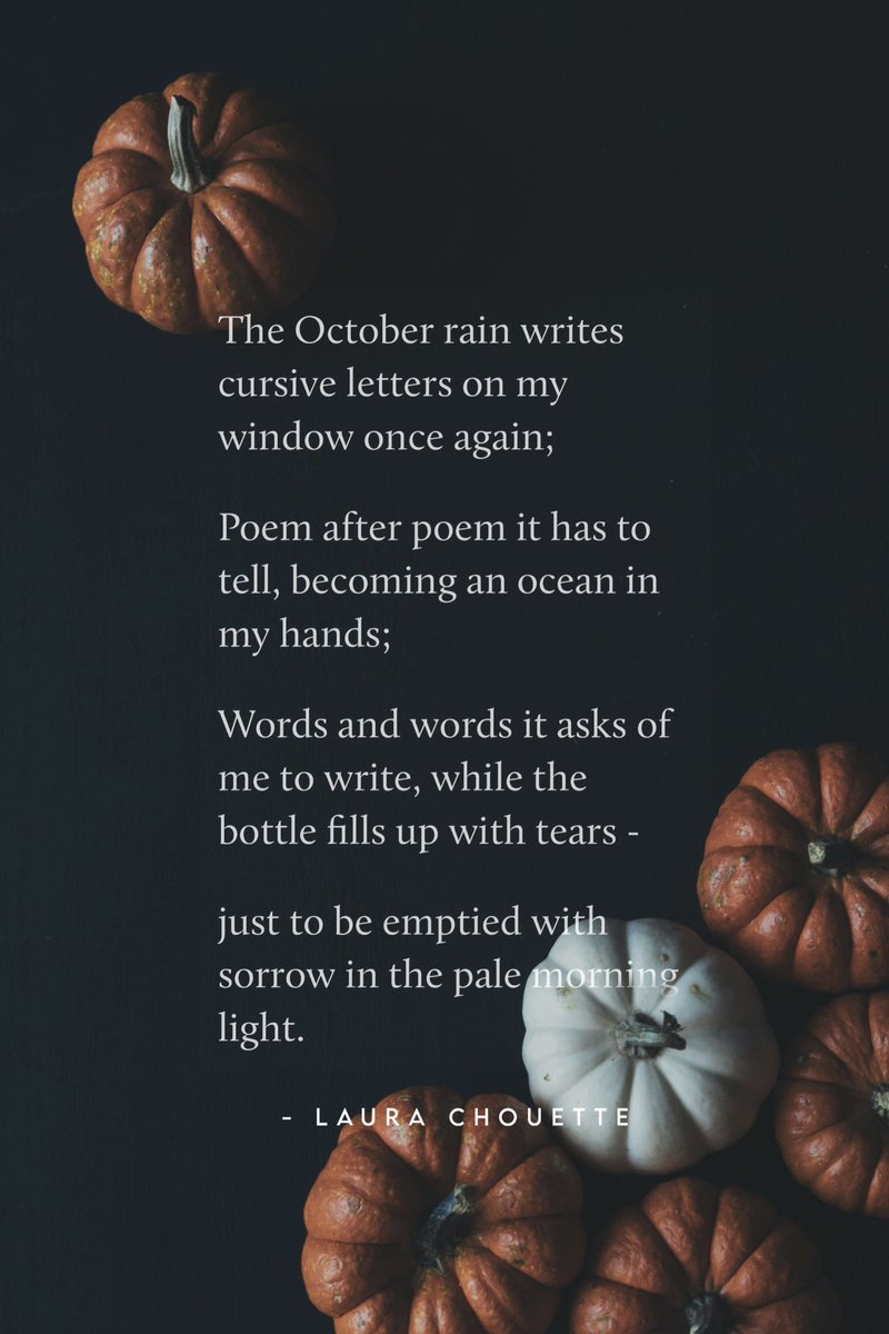 Laura Chouette tweet media