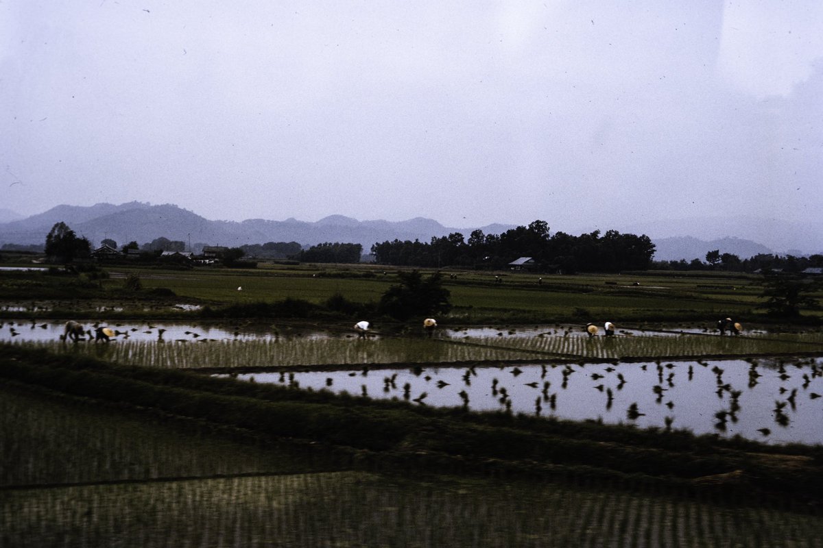 I recently collected a huge box of a stranger’s Kodachrome film slides. Here are some of their photos from Japan in the 1960s.