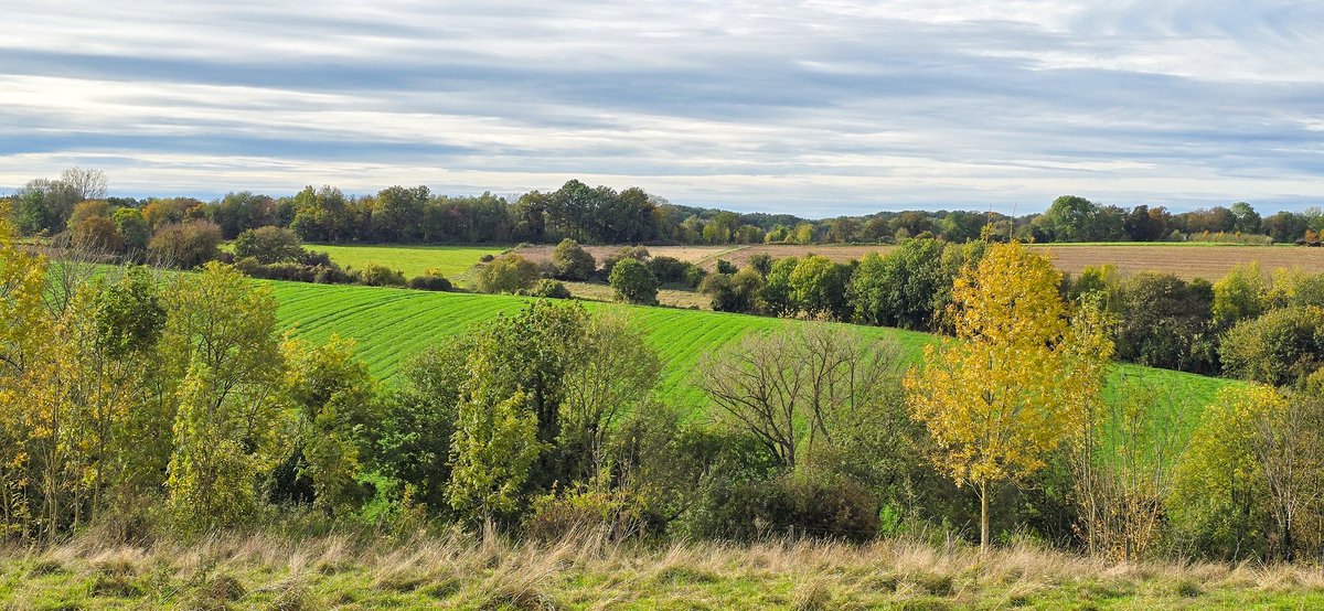 marcelbar8's tweet photo. Herfstkleuren tijdens mijn 17 km lange wandeling door @magnifiekZL 🍁🍂

F1 #Geuldal bij #Etenaken
F2 #Gerendal 
F3 #SchinopGeul
F4 #Keutenberg https://t.co/ufMk443zBF