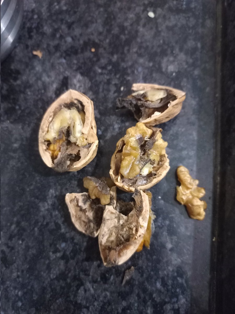 sunnysweet201's tweet photo. Subject: Complaint Regarding Bad Quality Walnuts Purchased

Dear D Mart Junagadh Team

I hope this message finds you well. I am writing to bring to your attention an issue with a recent purchase I made at your store. On 28 September, I bought a pack of walnuts from your store in Junagadh. Unfortunately, upon opening the pack, I found that the walnuts were of poor quality and not fit for consumption.

I kindly request a refund or replacement for this product. I am happy to provide the receipt or any other details required for this process.

Thank you for addressing this matter. I look forward to your prompt response
@DMartSupport 
@fssaiindia 
@NutrajIndia