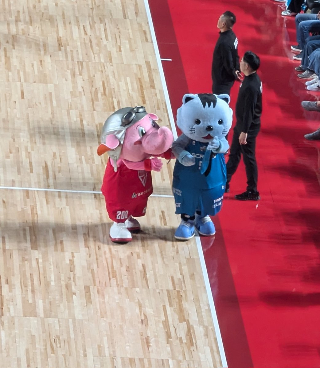 AMY_cjs2's tweet photo. 2連勝✨ホームでは負け無し️⭕️
土曜ははんニャリンの可愛さに癒され、日曜は試合展開が途中まで重くてしんどかったけど、逆転勝ちできてよかった💨
今節は4階から観戦したけど、上から見る満��のららアリは壮観だった！こんな立派なアリーナがホームなんて未だに信じられない(笑)😂

 #千葉ジェッツ https://t.co/9tri83jcIE