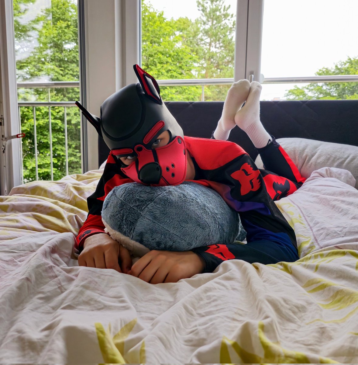 aristaous_'s tweet photo. You enter your bedroom and see this red puppy. Wyd?

📸 @wildpupleo (IG) https://t.co/0pGEn1LOoG