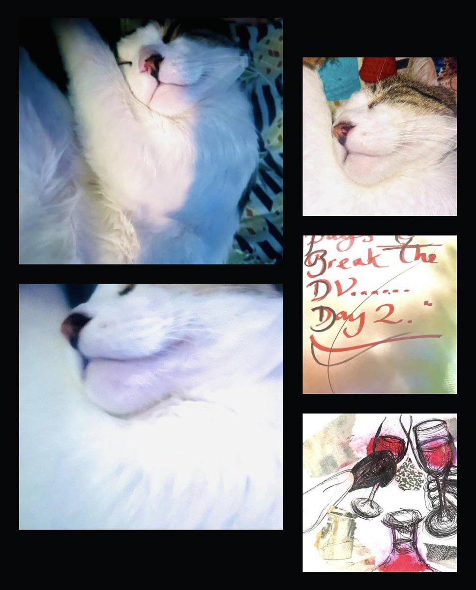 RosannaWright's tweet photo. 'Harry Smiles; NYC' - RoseJW 🌹🖤🎶
Harry smiles when he sleeps and more, he's absolutely heart melting and my saviour.
#Day91 #EndDV #SmilingCat #SleepingCat #HeartMelting #Saviour #MySoul #CPTSD #Harry #Gentle #Comfort #Safety #Settled #Pets #MentalHealth #RescueCat #NYC https://t.co/WcNZCY3oHy
