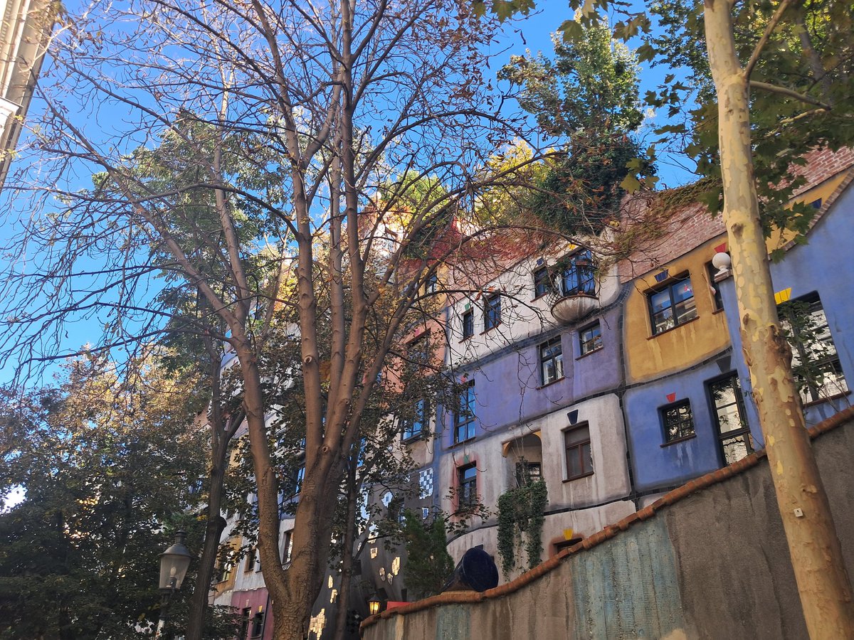 Irene Peiró Compains tweet media